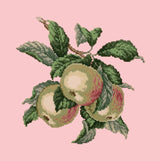 Apples Needlepoint Kit Elizabeth Bradley Design Pale Rose 