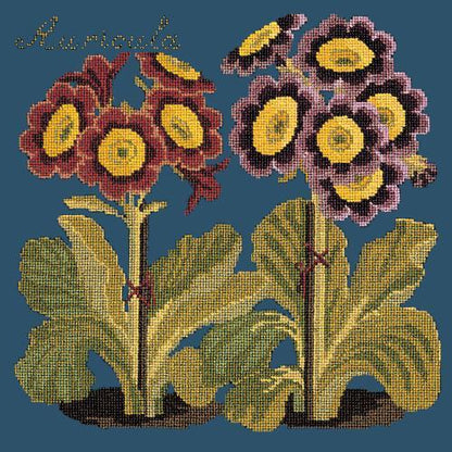 Auricula Needlepoint Kit Elizabeth Bradley Design Dark Blue 