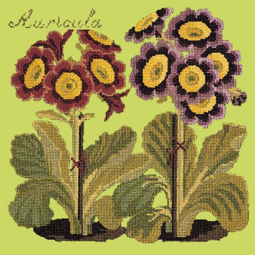 Auricula Needlepoint Kit Elizabeth Bradley Design Pale Lime 