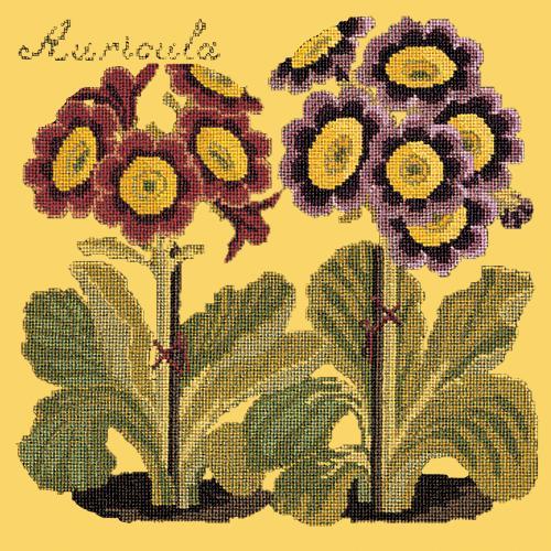 Auricula Needlepoint Kit Elizabeth Bradley Design Sunflower Yellow 