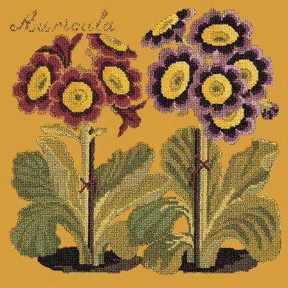 Auricula Needlepoint Kit Elizabeth Bradley Design Yellow 