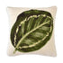 Calathea Leaf