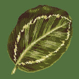 Calathea Leaf Needlepoint Kit Elizabeth Bradley Design Dark Green 