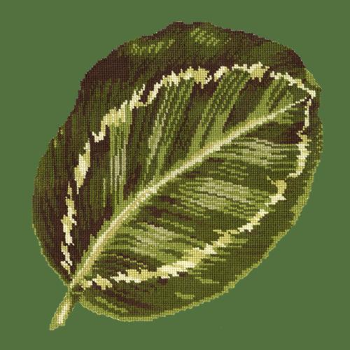 Calathea Leaf Needlepoint Kit Elizabeth Bradley Design Dark Green 
