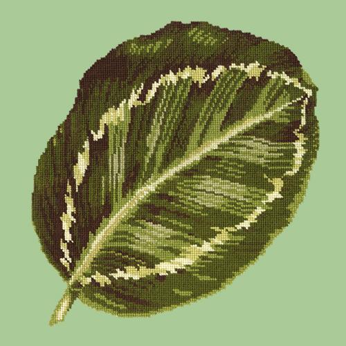 Calathea Leaf Needlepoint Kit Elizabeth Bradley Design Pale Green 