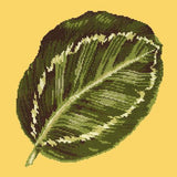 Calathea Leaf Needlepoint Kit Elizabeth Bradley Design Sunflower Yellow 