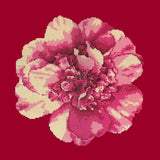 Camellia Blossom Needlepoint Kit Elizabeth Bradley Design Bright Red 