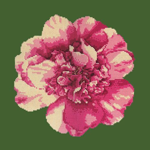 Camellia Blossom Needlepoint Kit Elizabeth Bradley Design Dark Green 