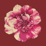 Camellia Blossom Needlepoint Kit Elizabeth Bradley Design Dark Red 
