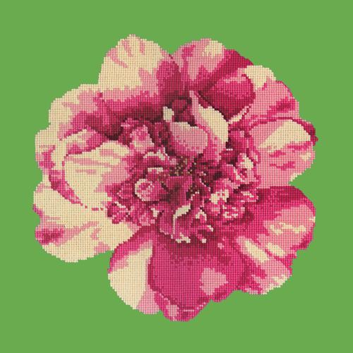 Camellia Blossom Needlepoint Kit Elizabeth Bradley Design Grass Green 