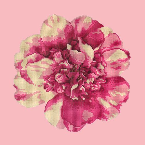 Camellia Blossom Needlepoint Kit Elizabeth Bradley Design Pale Rose 