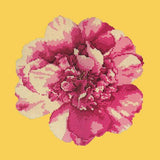 Camellia Blossom Needlepoint Kit Elizabeth Bradley Design Sunflower Yellow 