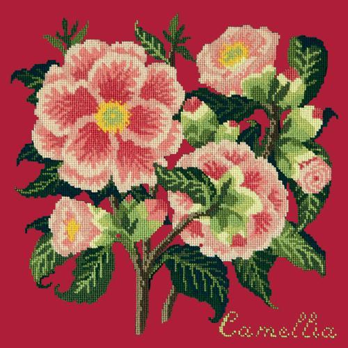 Camellia Needlepoint Kit Elizabeth Bradley Design Bright Red 