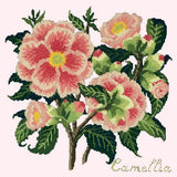 Camellia Needlepoint Kit Elizabeth Bradley Design Cream 