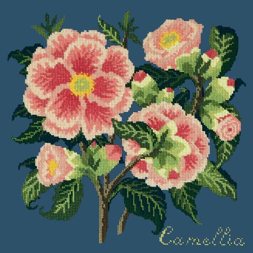 Camellia