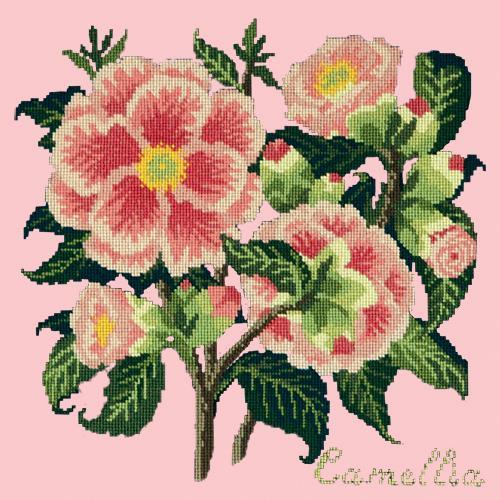 Camellia Needlepoint Kit Elizabeth Bradley Design Pale Rose 
