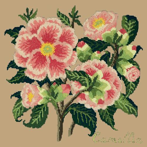 Camellia Needlepoint Kit Elizabeth Bradley Design Sand 