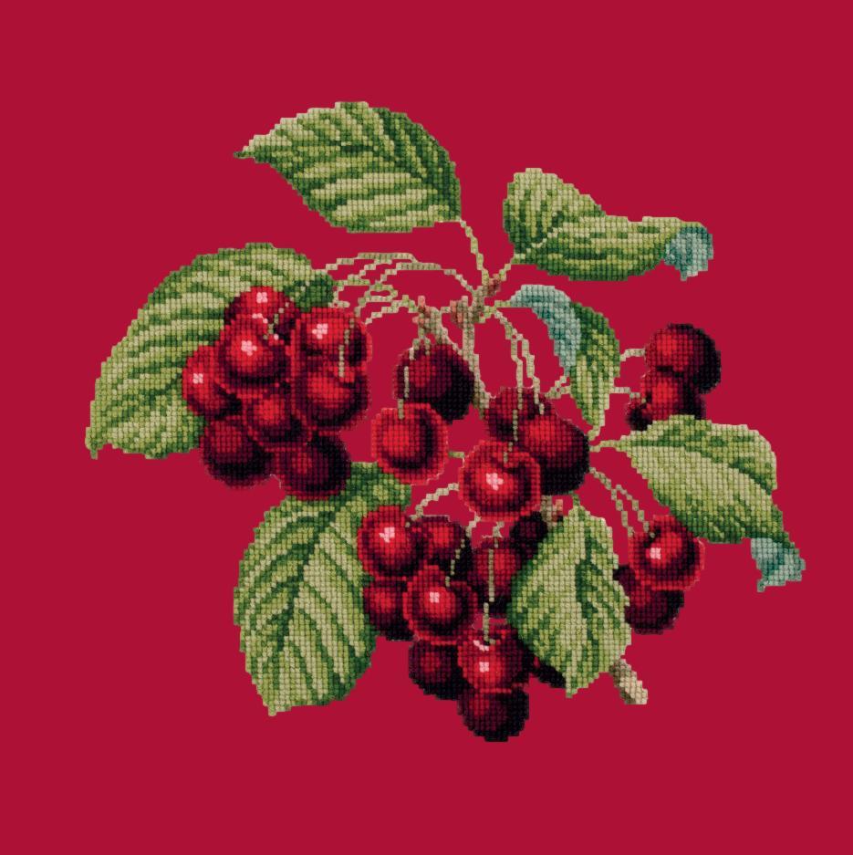 Cherries Needlepoint Kit Elizabeth Bradley Design Bright Red 