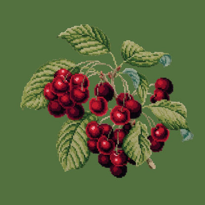 Cherries Needlepoint Kit Elizabeth Bradley Design Dark Green 