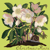 Christmas Rose Needlepoint Kit Elizabeth Bradley Design Pale Lime 
