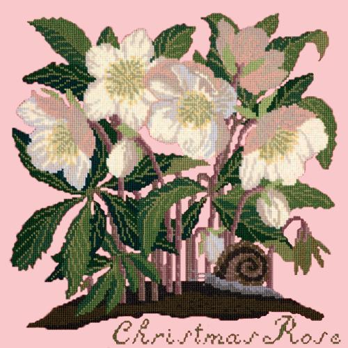 Christmas Rose Needlepoint Kit Elizabeth Bradley Design Pale Rose 