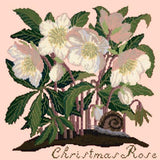 Christmas Rose Needlepoint Kit Elizabeth Bradley Design Salmon Pink 