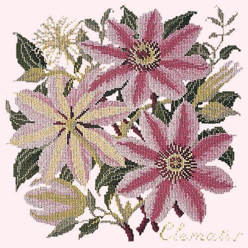 Clematis Needlepoint Kit Elizabeth Bradley Design Cream 