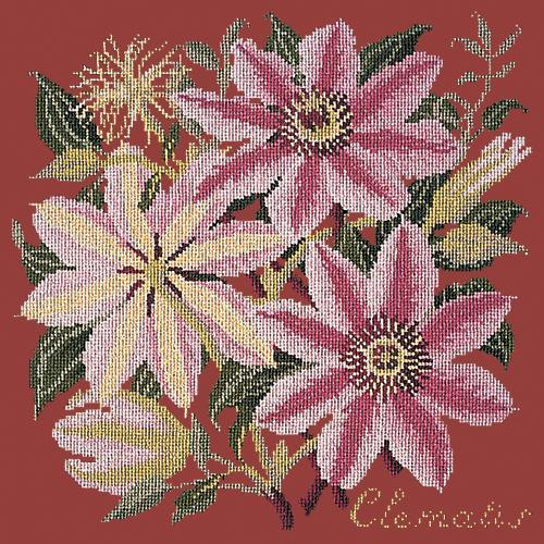 Clematis Needlepoint Kit Elizabeth Bradley Design Dark Red 