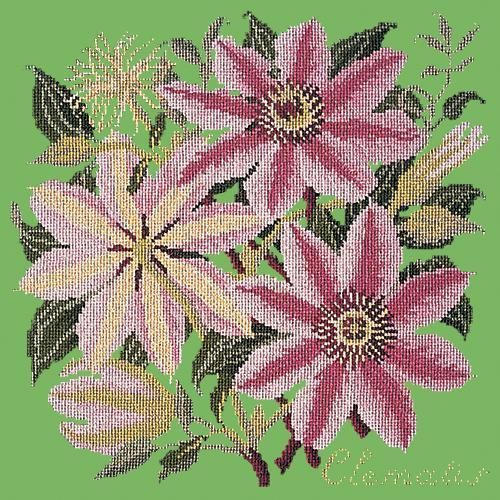 Clematis Needlepoint Kit Elizabeth Bradley Design Grass Green 