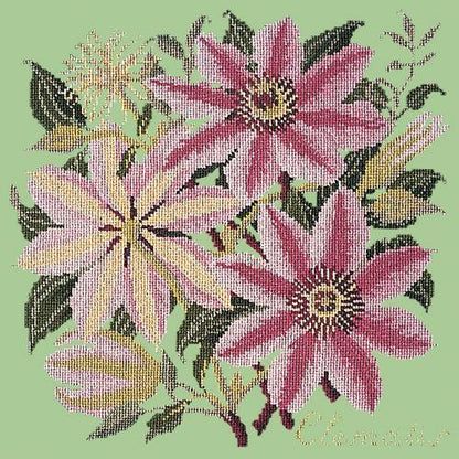 Clematis Needlepoint Kit Elizabeth Bradley Design Pale Green 