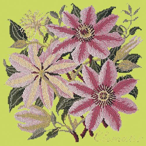 Clematis Needlepoint Kit Elizabeth Bradley Design Pale Lime 