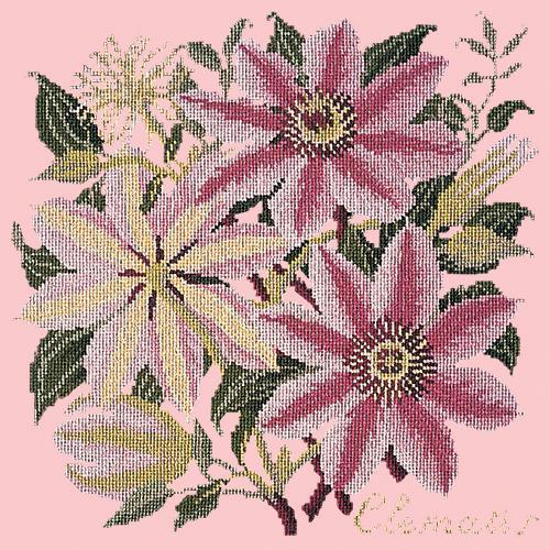 Clematis Needlepoint Kit Elizabeth Bradley Design Pale Rose 