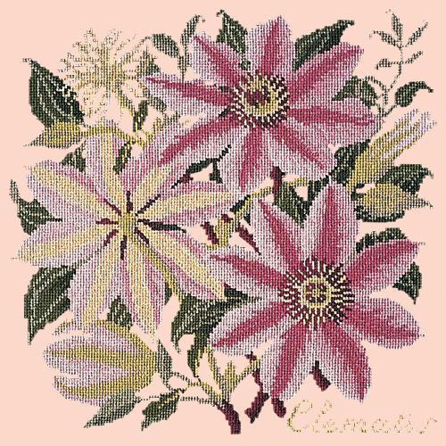 Clematis Needlepoint Kit Elizabeth Bradley Design Salmon Pink 