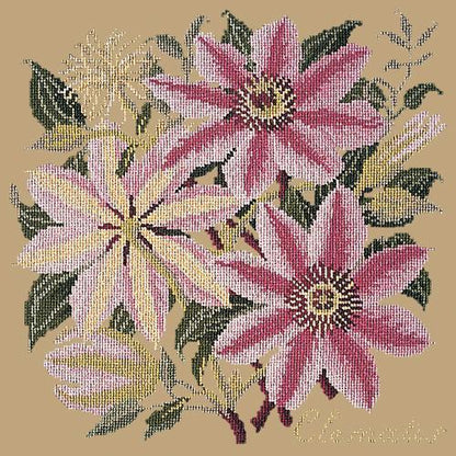 Clematis Needlepoint Kit Elizabeth Bradley Design Sand 