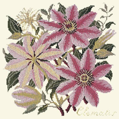 Clematis Needlepoint Kit Elizabeth Bradley Design Winter White 