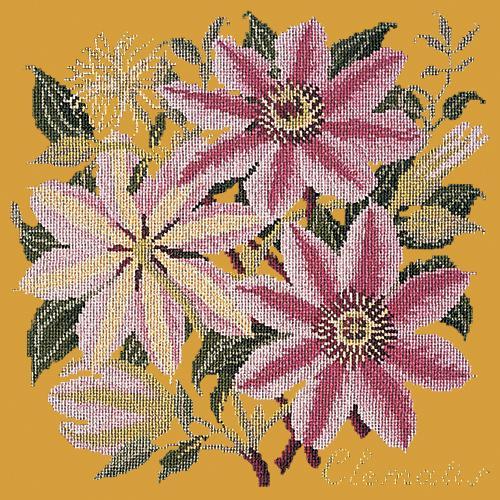 Clematis Needlepoint Kit Elizabeth Bradley Design Yellow 