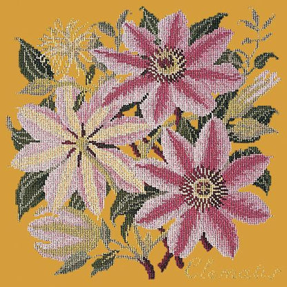 Clematis Needlepoint Kit Elizabeth Bradley Design Yellow 