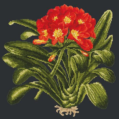 Clivia Needlepoint Kit Elizabeth Bradley Design Black 