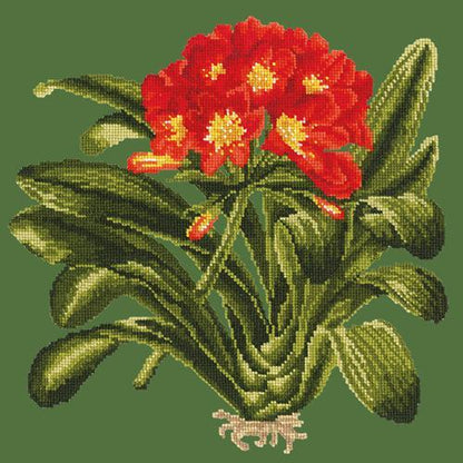 Clivia Needlepoint Kit Elizabeth Bradley Design Dark Green 