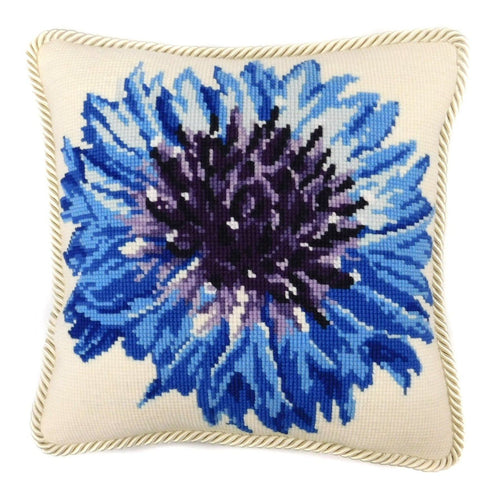 Mountain Cornflower