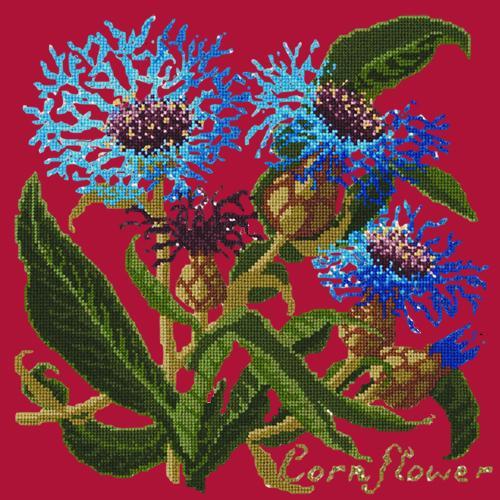 Cornflower Needlepoint Kit Elizabeth Bradley Design Bright Red 