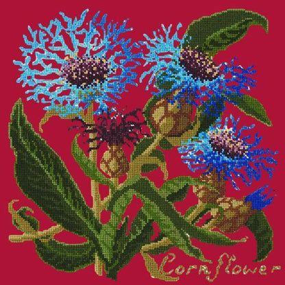 Cornflower Needlepoint Kit Elizabeth Bradley Design Bright Red 