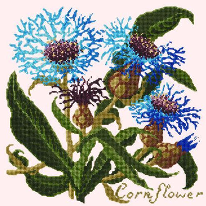 Cornflower Needlepoint Kit Elizabeth Bradley Design Cream 