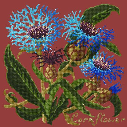 Cornflower Needlepoint Kit Elizabeth Bradley Design Dark Red 