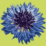 Cornflower Needlepoint Kit Elizabeth Bradley Design Pale Lime 