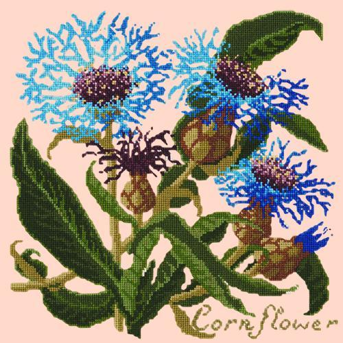 Cornflower Needlepoint Kit Elizabeth Bradley Design Salmon Pink 