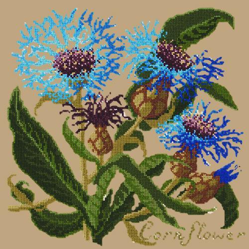 Cornflower Needlepoint Kit Elizabeth Bradley Design Sand 
