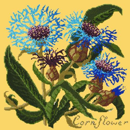 Cornflower Needlepoint Kit Elizabeth Bradley Design Sunflower Yellow 