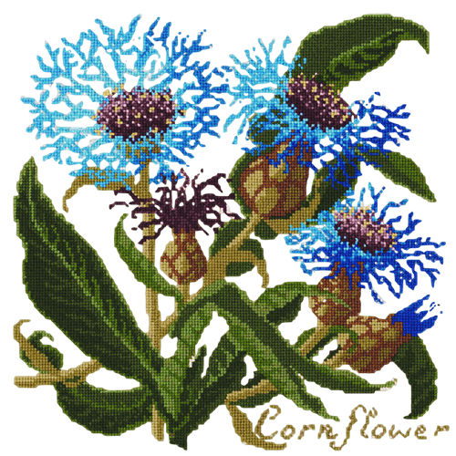 Cornflower Needlepoint Kit Elizabeth Bradley Design Winter White 
