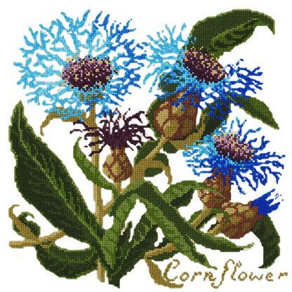 Cornflower Needlepoint Kit Elizabeth Bradley Design Winter White 